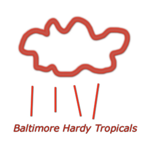 Click here to learn more about Baltimore Hardy Tropicals.